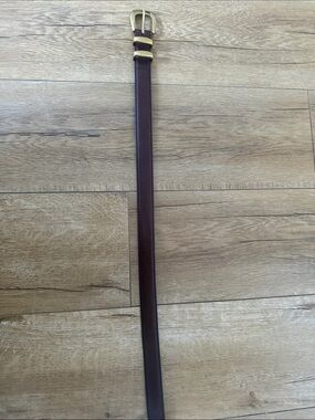 Aritzia Brown Leather Accent Belt with Gold Buckle